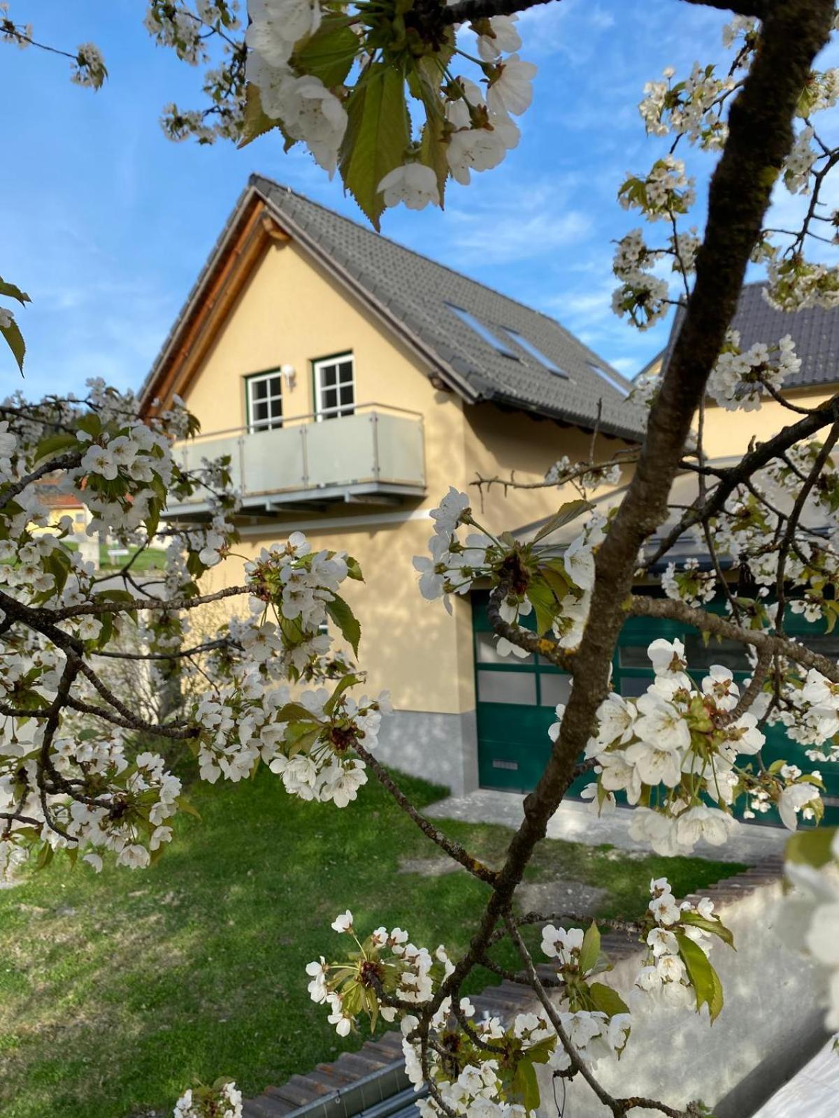 Ferienwohnung in Mariahof Neumarkt in Steiermark Exteriör bild